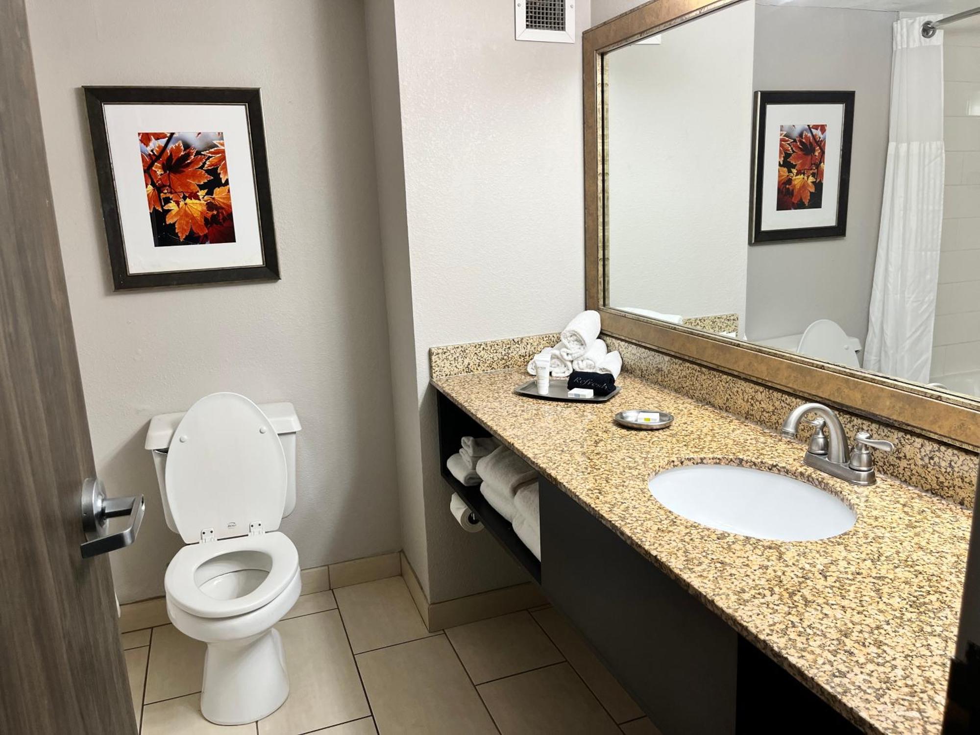 Branson Hillside Hotel Extérieur photo