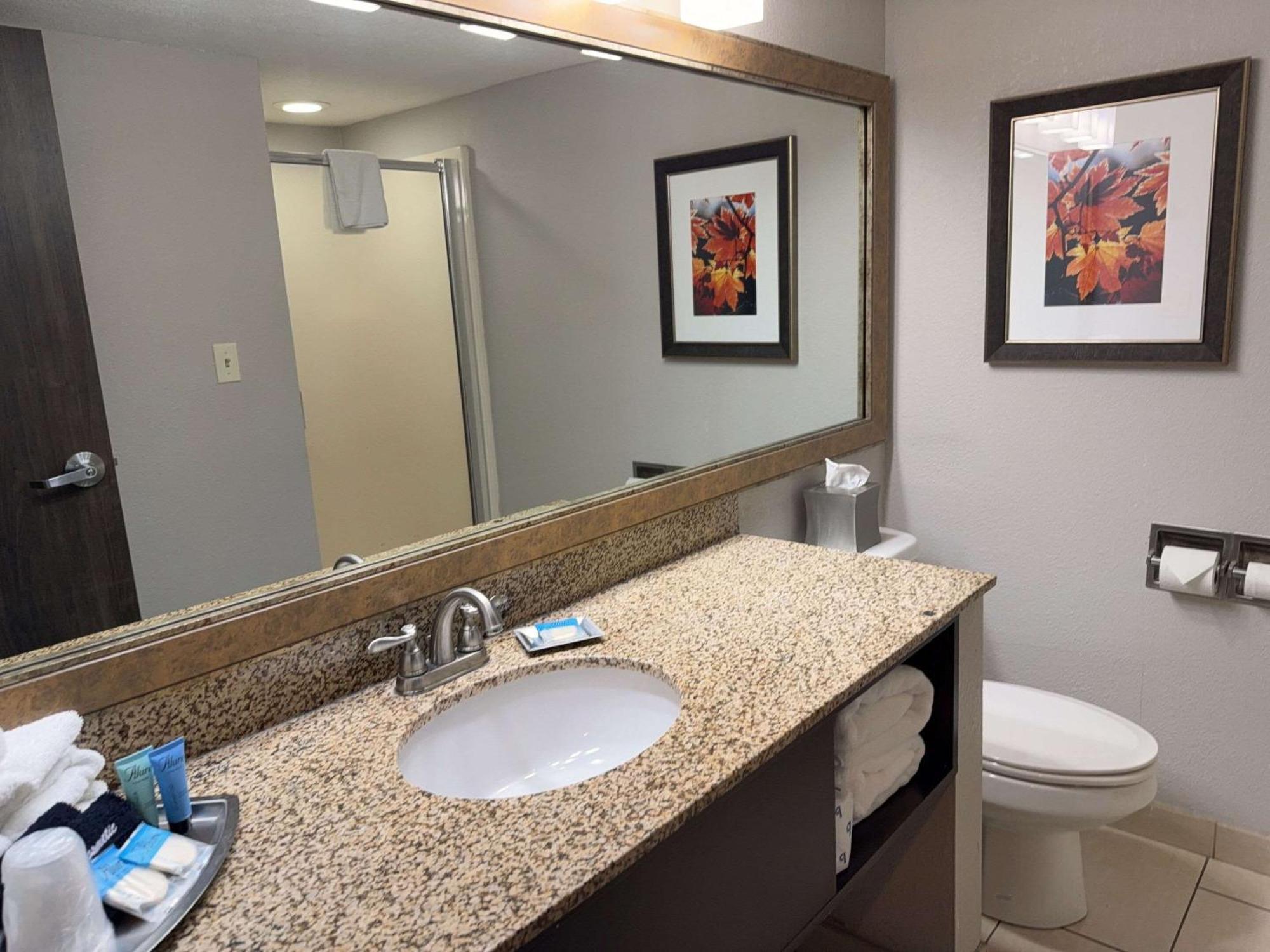 Branson Hillside Hotel Extérieur photo